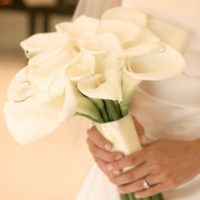 Wedding Planners Chicago IL